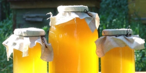 Kako odrediti kvalitetu i prirodnost meda